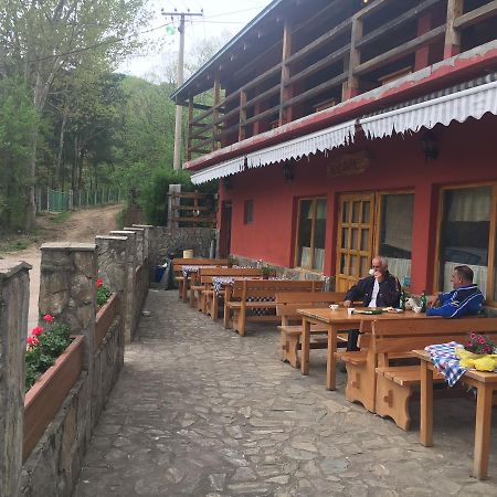 Kod Dace Hotel Banja Topilo Kültér fotó