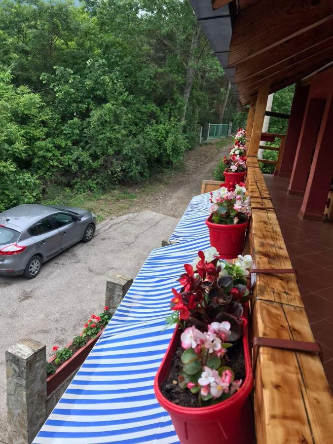 Kod Dace Hotel Banja Topilo Kültér fotó